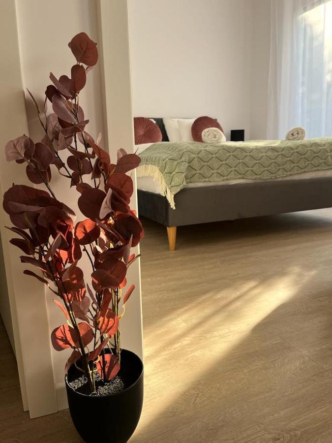 Mathias Premium Apartments Σέγκεντ Εξωτερικό φωτογραφία