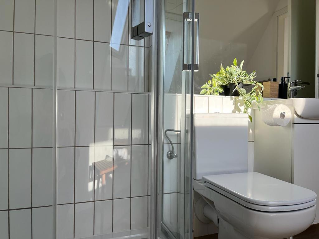 Mathias Premium Apartments Σέγκεντ Εξωτερικό φωτογραφία